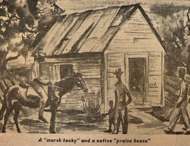 Praise_Tacky Marsh