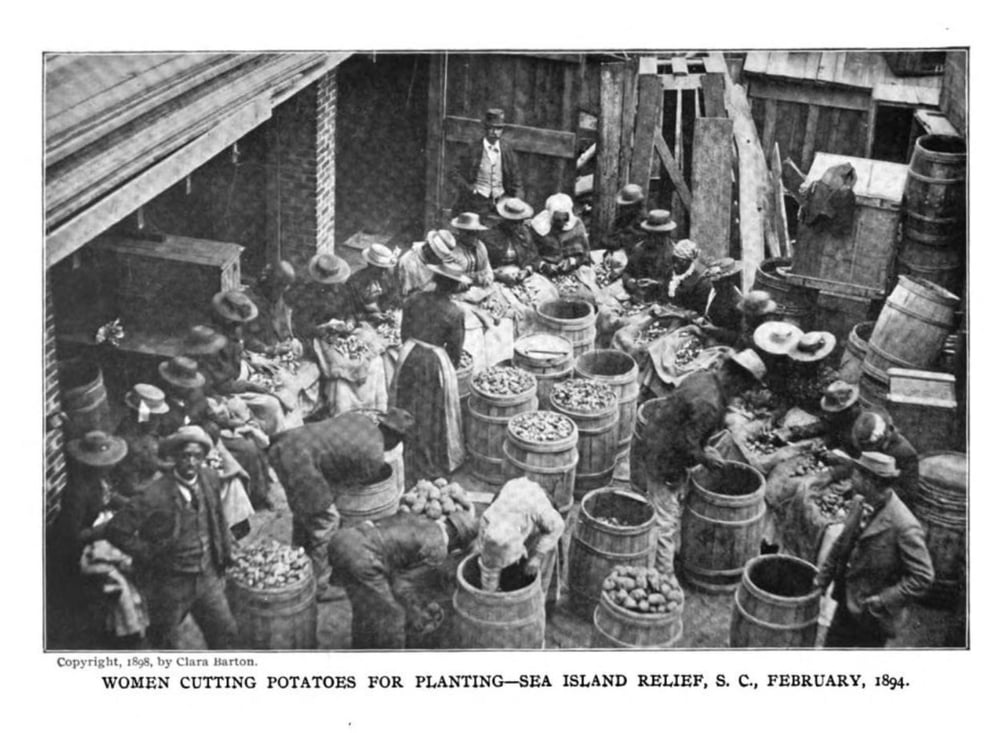 Relief Efforts_Potatoes